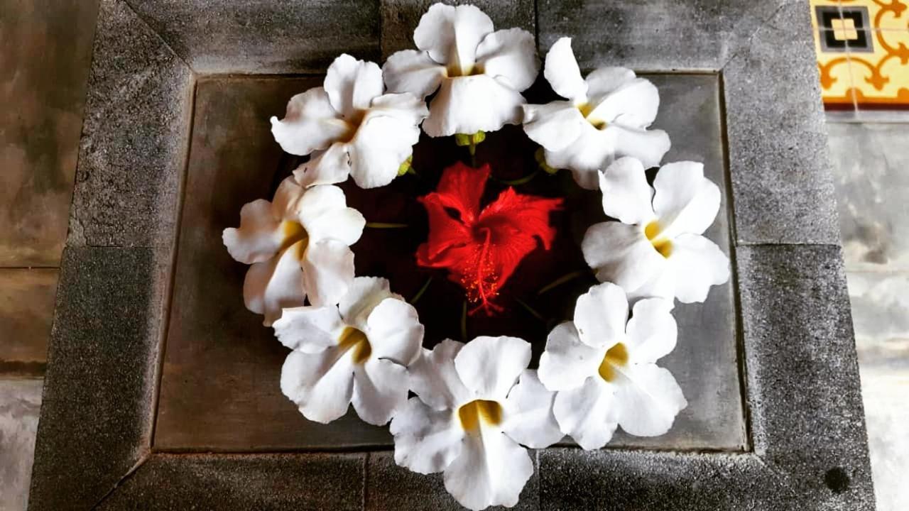 Oma Watu Inn Pringkuku المظهر الخارجي الصورة